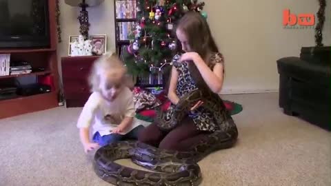 This innocent children plays with snake