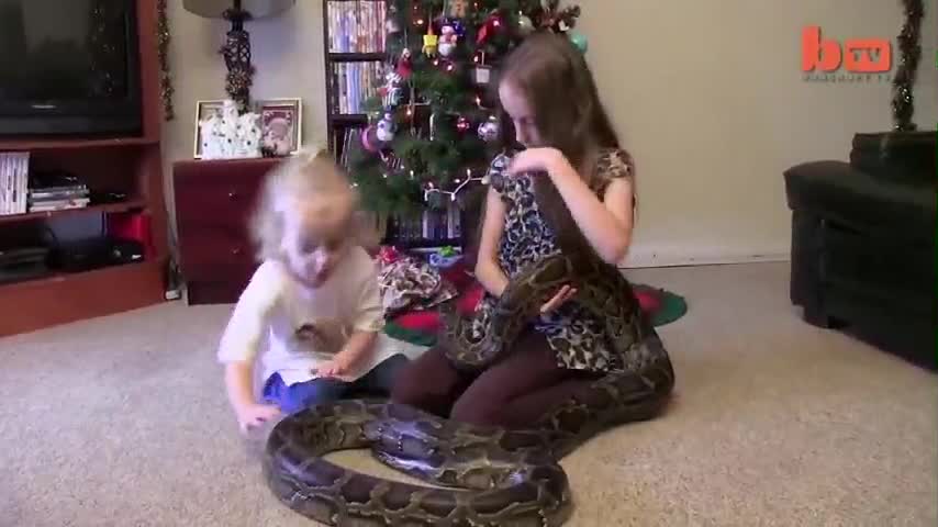 This innocent children plays with snake