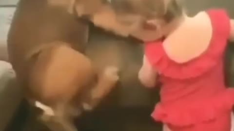 cute baby fun with animal