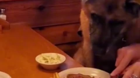 AFGHANISTAN WAR VETERAN EATING HIS FREE MEAL @TEXAS ROADHOUSE