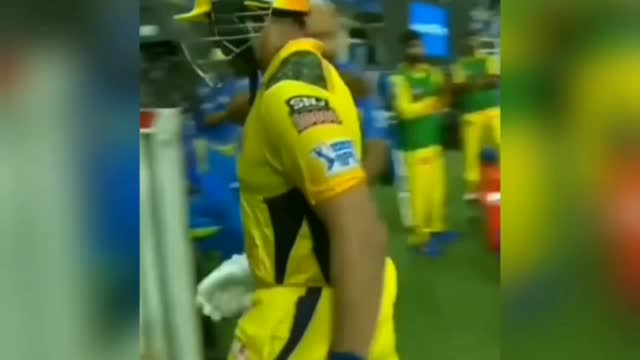 Dhoni fans best video collection