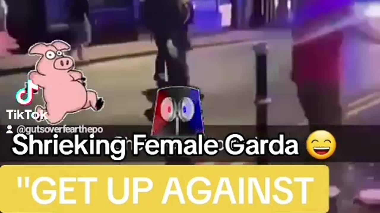Ah here..Calm down 😄 #garda #repofireland #news #ireland #funny