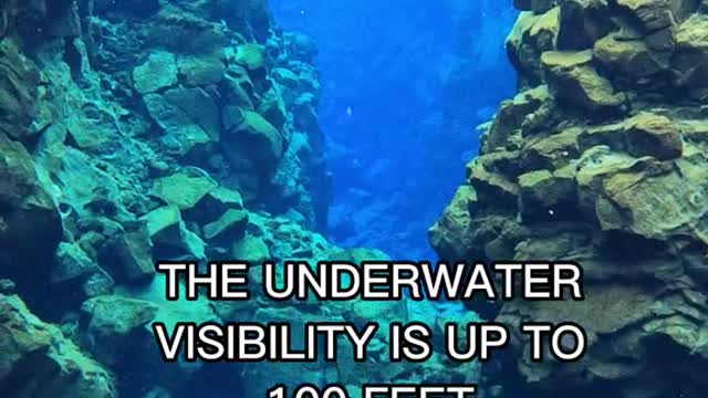 THIS IS THECLEAREST WATERIN THE WORLD