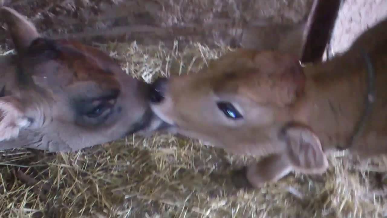 French Kiss :D