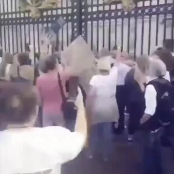 Buckingham Palace Protest: 2020