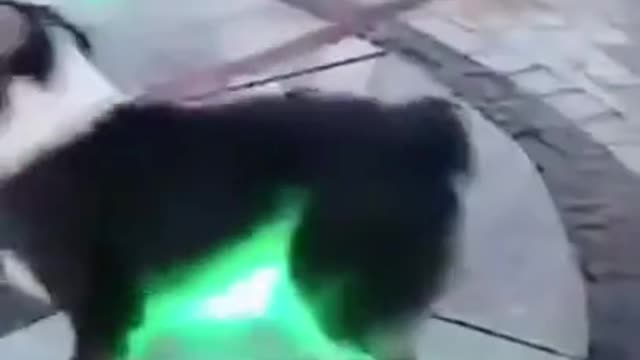 Hidden Attack