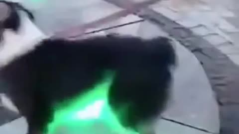 Hidden Attack