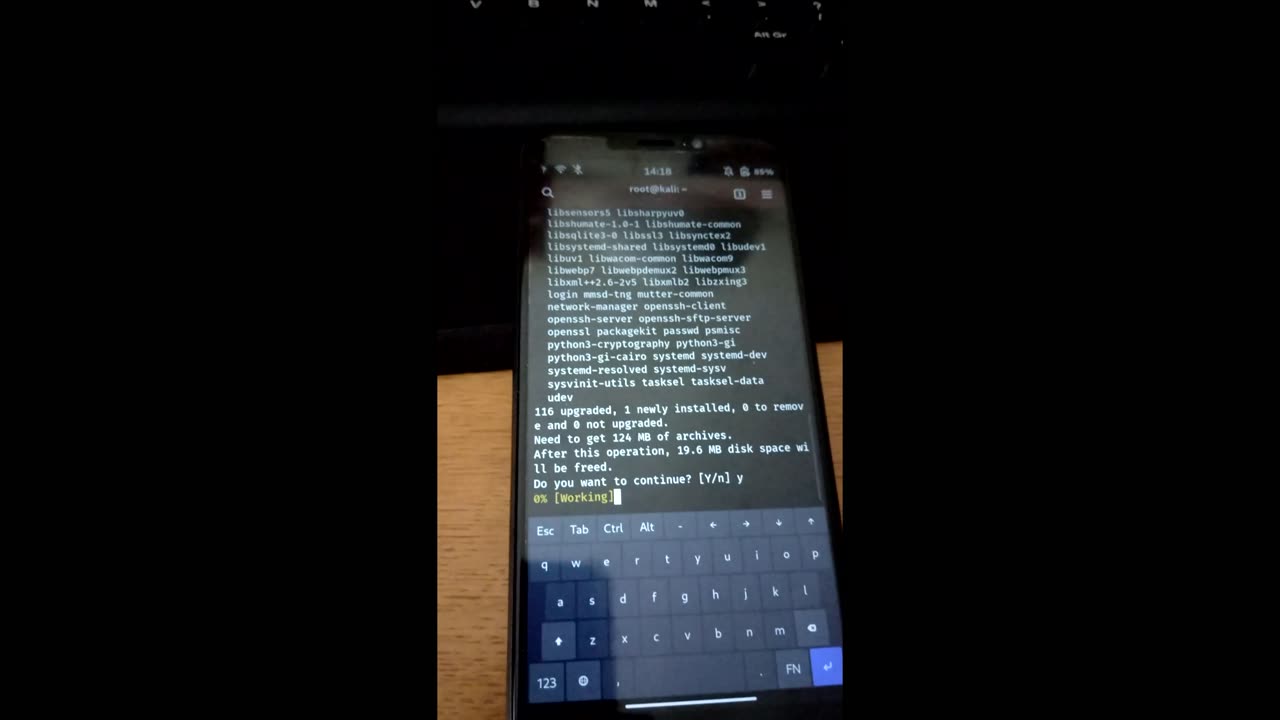 Kali Nethunter Pro apps setup on Pinephone