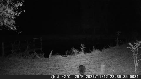 Teich121124