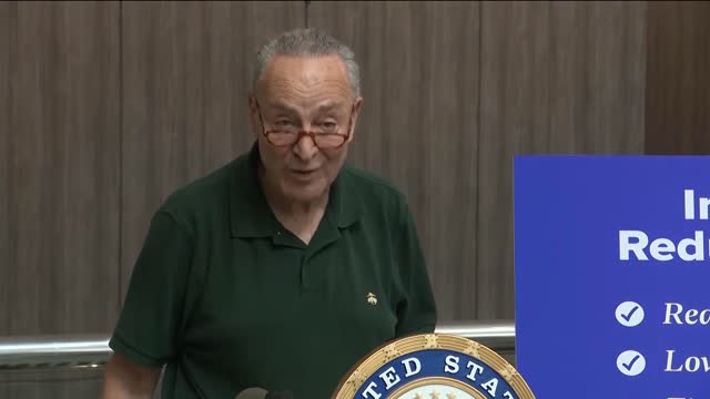 'One Word, Persistence': Chuck Schumer Applauds Senate Democrats For Passing Inflation Reduction Act