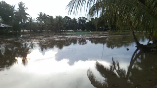 Amazing Fine and Calm Weather Caught