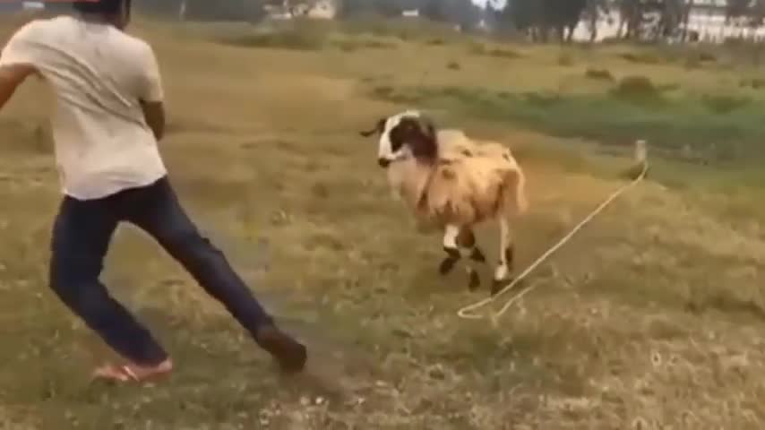 I can't stop laughing at this video