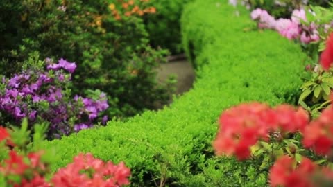 Want a Gorgeous Garden? Try These 3 Landscaping Hacks!