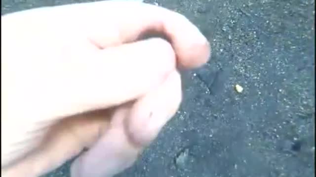 Clean up the underwater garbage and protect the marine natural environment.#4