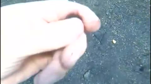 Clean up the underwater garbage and protect the marine natural environment.#4