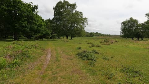 Arrived at a bronze age circle .