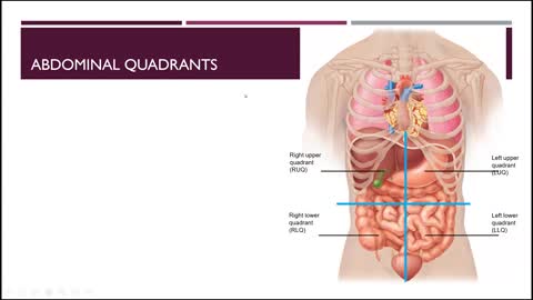 Body Regions - Intro to Lab