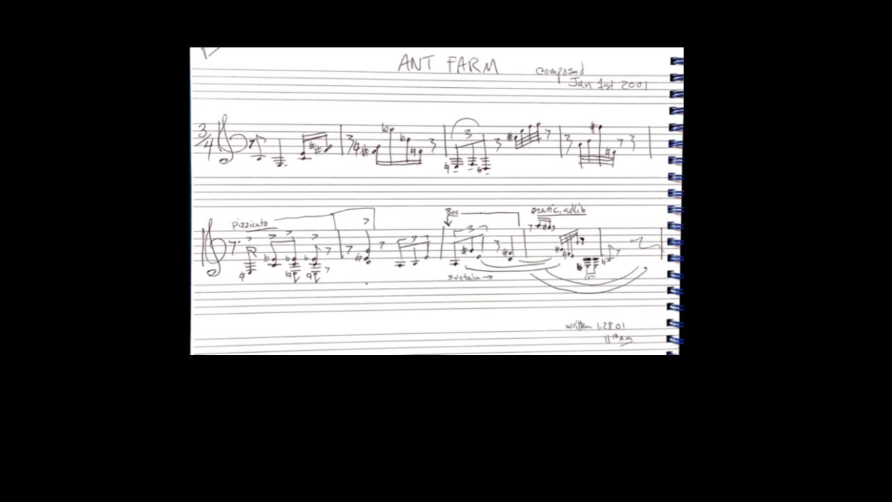 Ant Farm ~ Cello ~ alsetian.