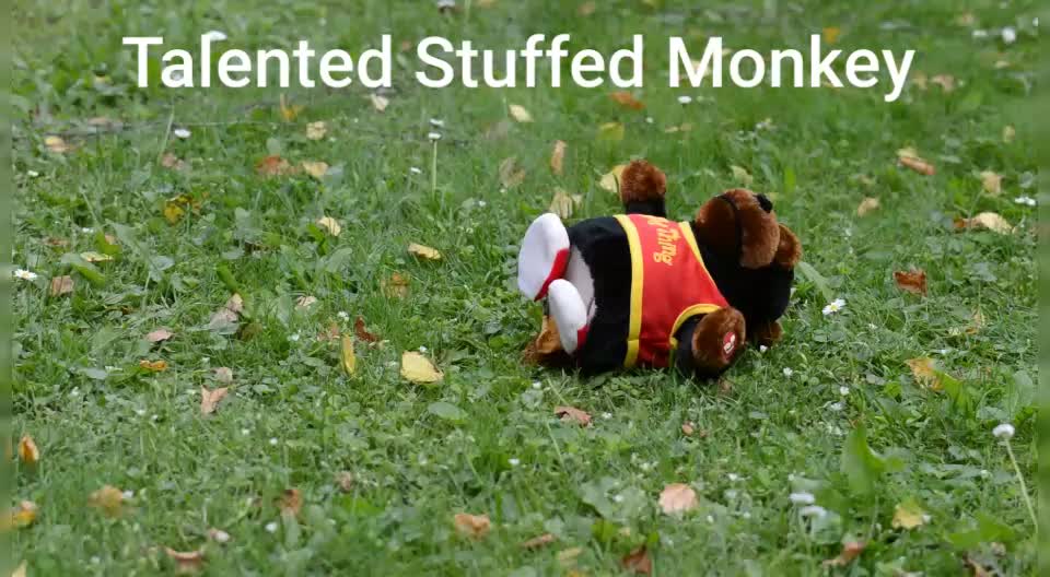 Talented Stuffed Monkey