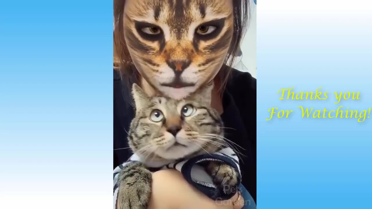 Cat Version 2.0 ! Cats with Funny Filters .