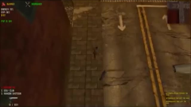Dead Frontier , Gameplay BR