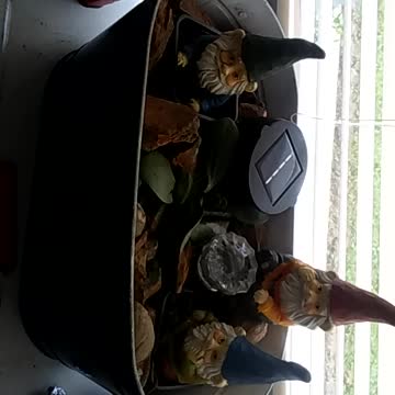 Fred Ferdinand & George