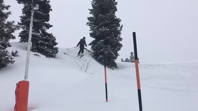 Black skier slide past orange poles