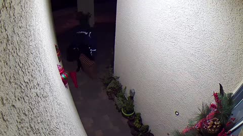 FedEx Guy vs Christmas Decoration