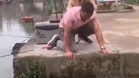 Dog saves a little fish life