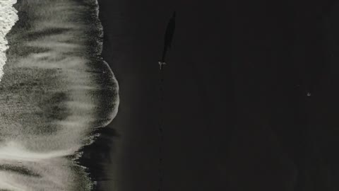 Walking along a dark sand beach