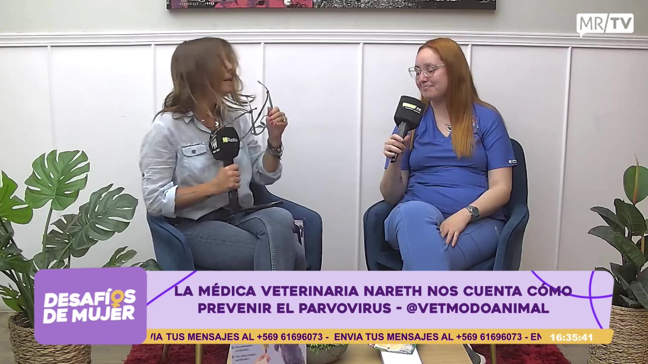 DESAFIOS DE MUJER 21/11/2024