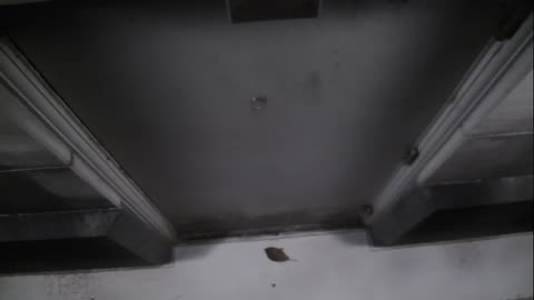 0921USCG00HT18Exterior_2021-01-06_03h00min01s197ms.mp4