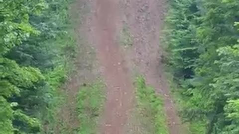 Amazing bike climbing