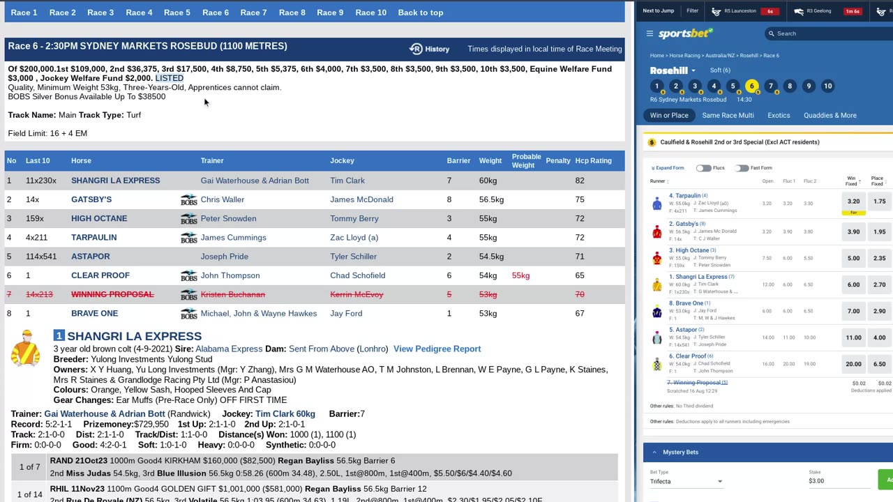 Rosehill Race 6 Preview - Potential BLOW OUT Result! Listed Rosebud - Prep Race For The GOLDEN ROSE