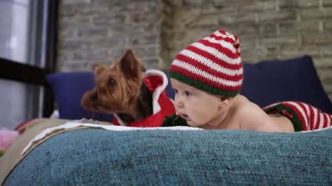 Sweet little baby dressed in striped cap is lying on bed on tummy with dog in front of the window