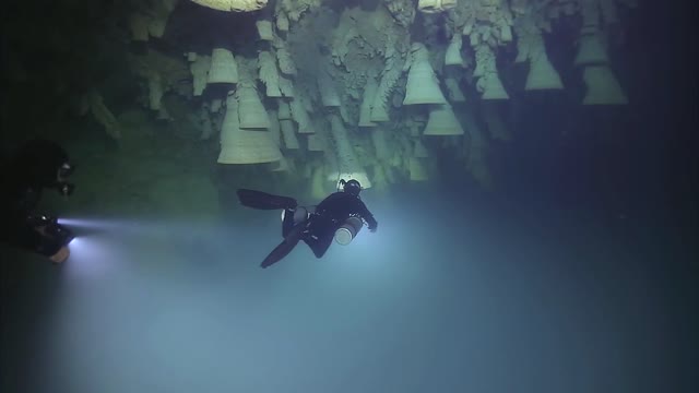 Diving in Mexico Cenote Zapote