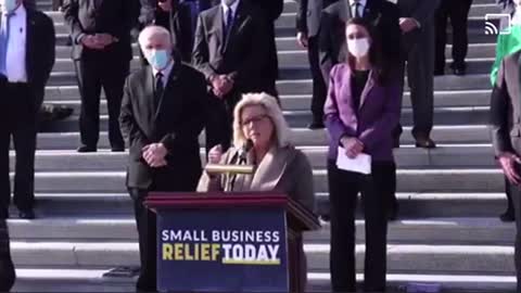 Representative Liz Cheney calls out Pelosi