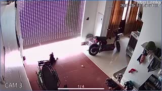 Scary Moment for Doggy Tied to Roller Door