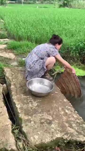 137 of the funniest video clips from Grltion TV