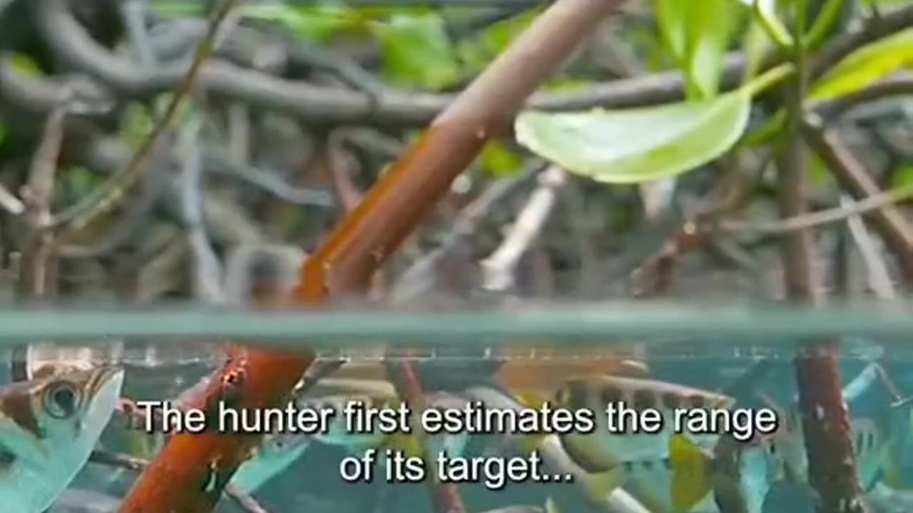 What A Precise Move To Hit The Target #shorts #shortsvideo #video #viral