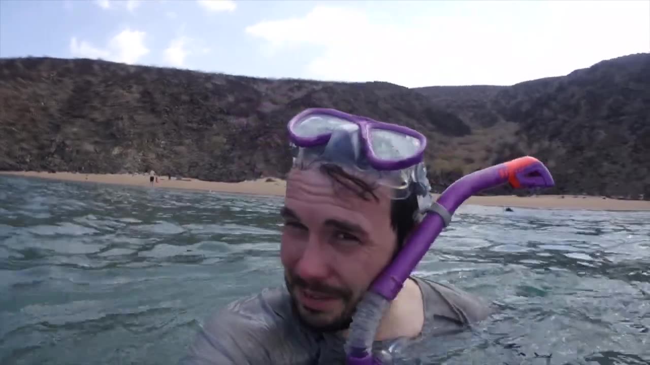 ***Swimming with whale sharks in Djibouti***