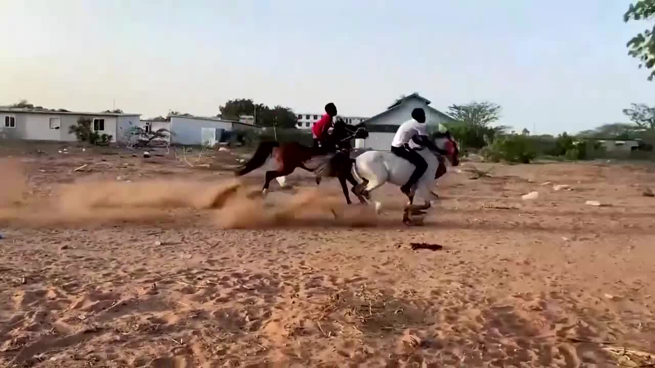 Mogadishu's first horse-riding stable in decades