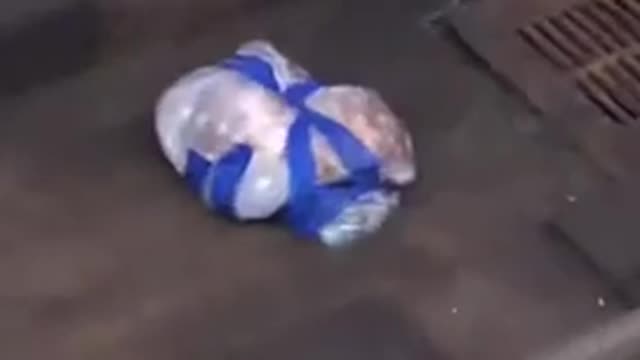 Could this be a human head
