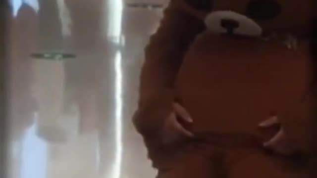 Funny bear in Mall