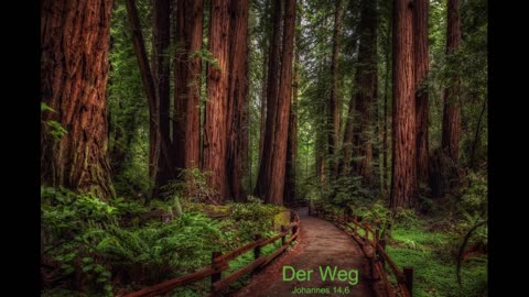 Der Weg