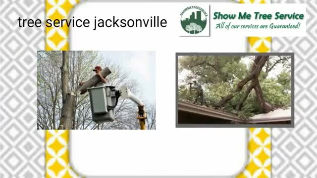 tree pruning jacksonville