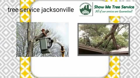 tree pruning jacksonville