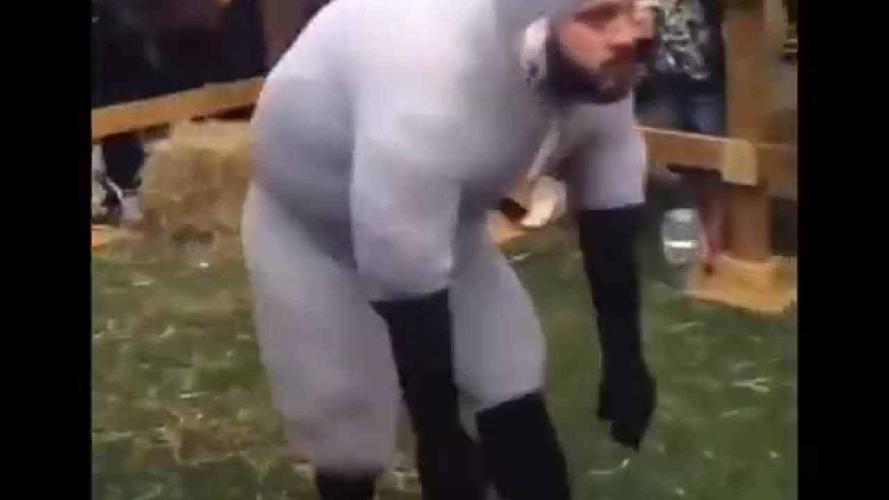 Sheeple - Sounds Up.