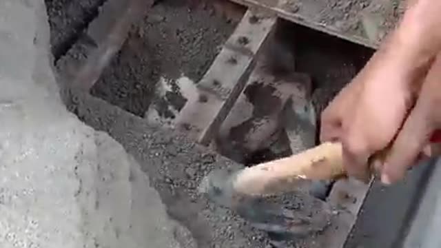 Heartwarming Dog Rescue! ❤