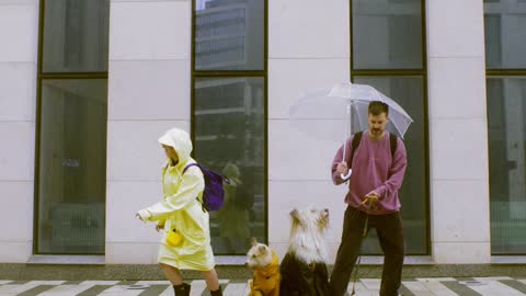 A Couple with their Dogs Running on the Street